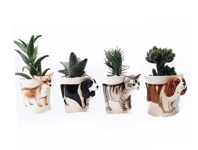 blog animal mugs